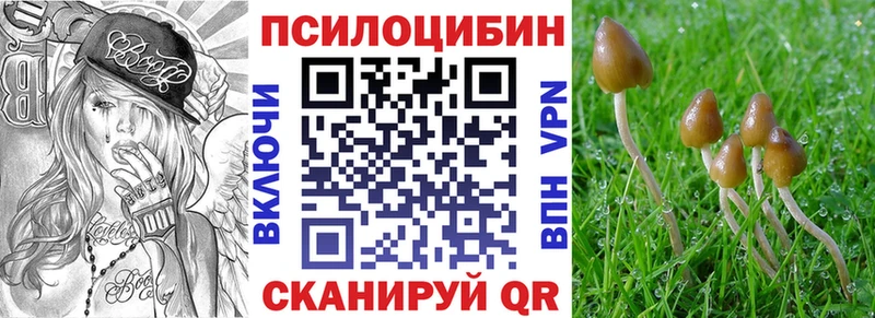 Галлюциногенные грибы мицелий это состав Инза где купить наркоту